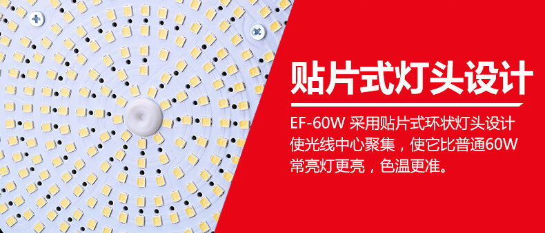 租EF-60LED II 專業攝影燈(含燈架）